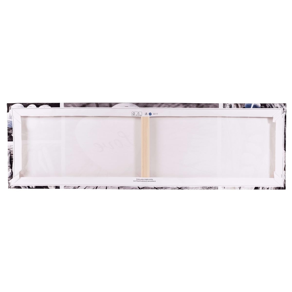 Ceanothe Vague rocheuse tableau toile 30x97 cm mat