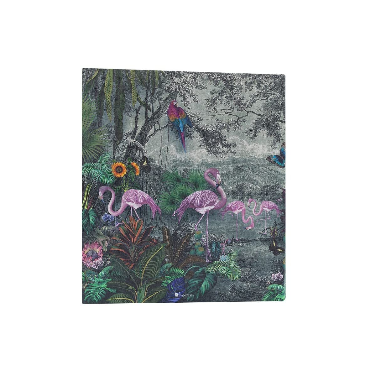 Ceanothe Panodia Flamant album photo traditionnel 600 photos 10x15