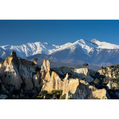 Ceanothe Art de nos régions le Canigou tableau toile 45x65 cm montagne