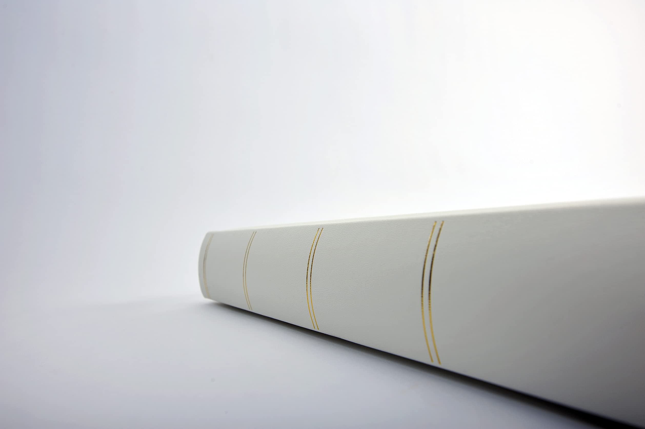 Walther Design Monza FA-260 album photo champagne 30x30
