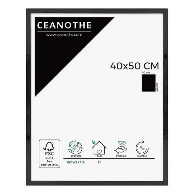 Ceanothe Brio 23512 River cadre photo 10x15 cm noir laqué