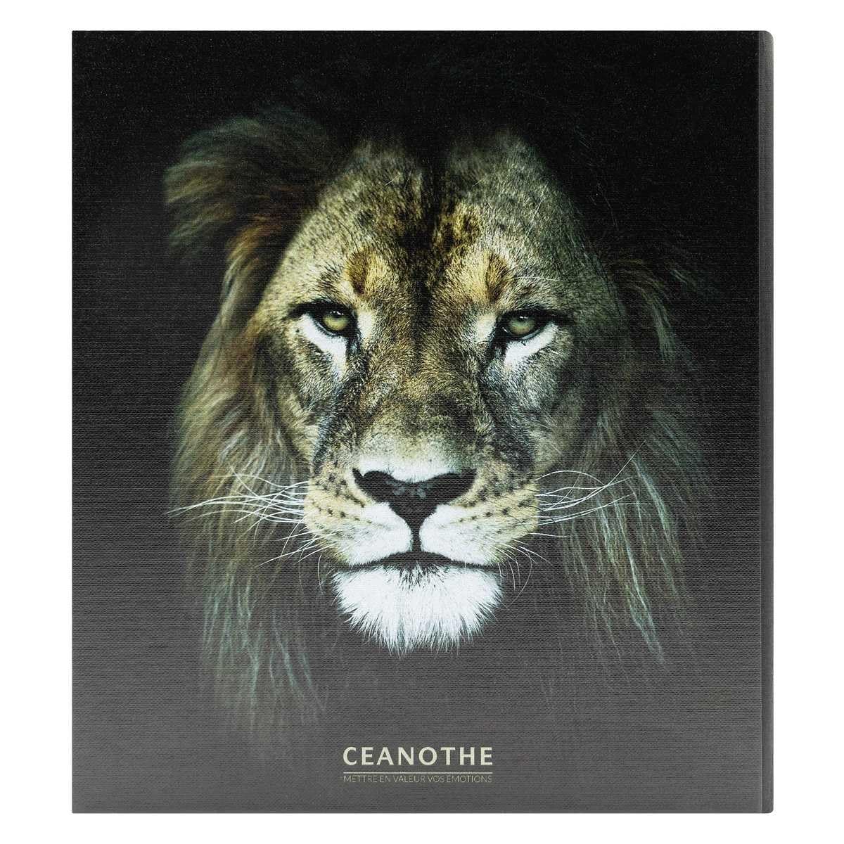 Ceanothe King album pochette lion 200 photos 10x15