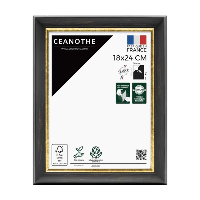 Ceanothe Pandore cadre photo 18x24 cm noir doré baroque