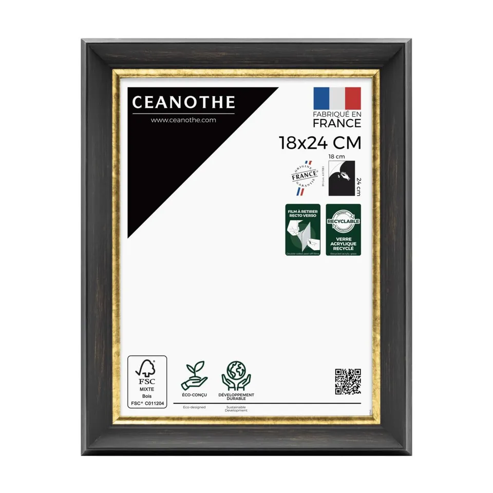 Ceanothe Pandore cadre photo 18x24 cm noir doré baroque