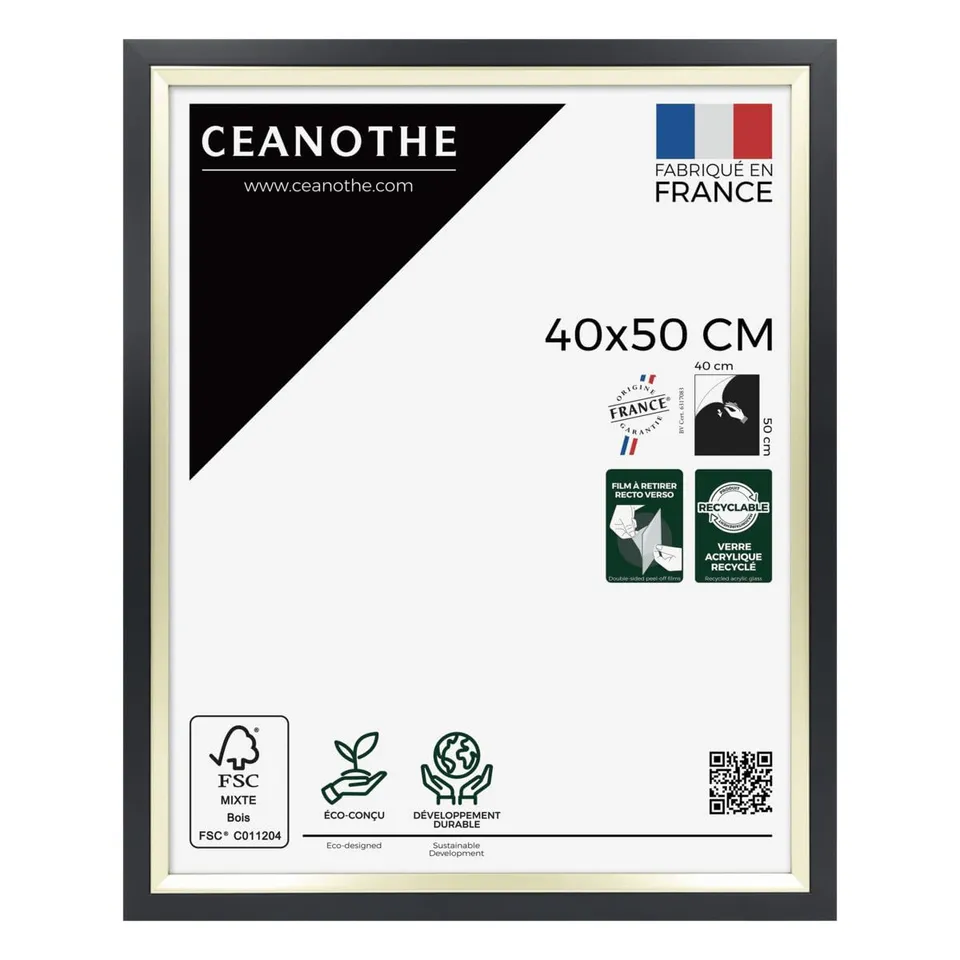 Ceanothe Actual 40x50 cm cadre photo noir et doré mural