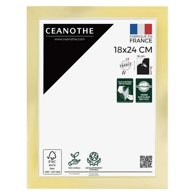 Ceanothe Precious cadre photo 18x24 cm doré incassable