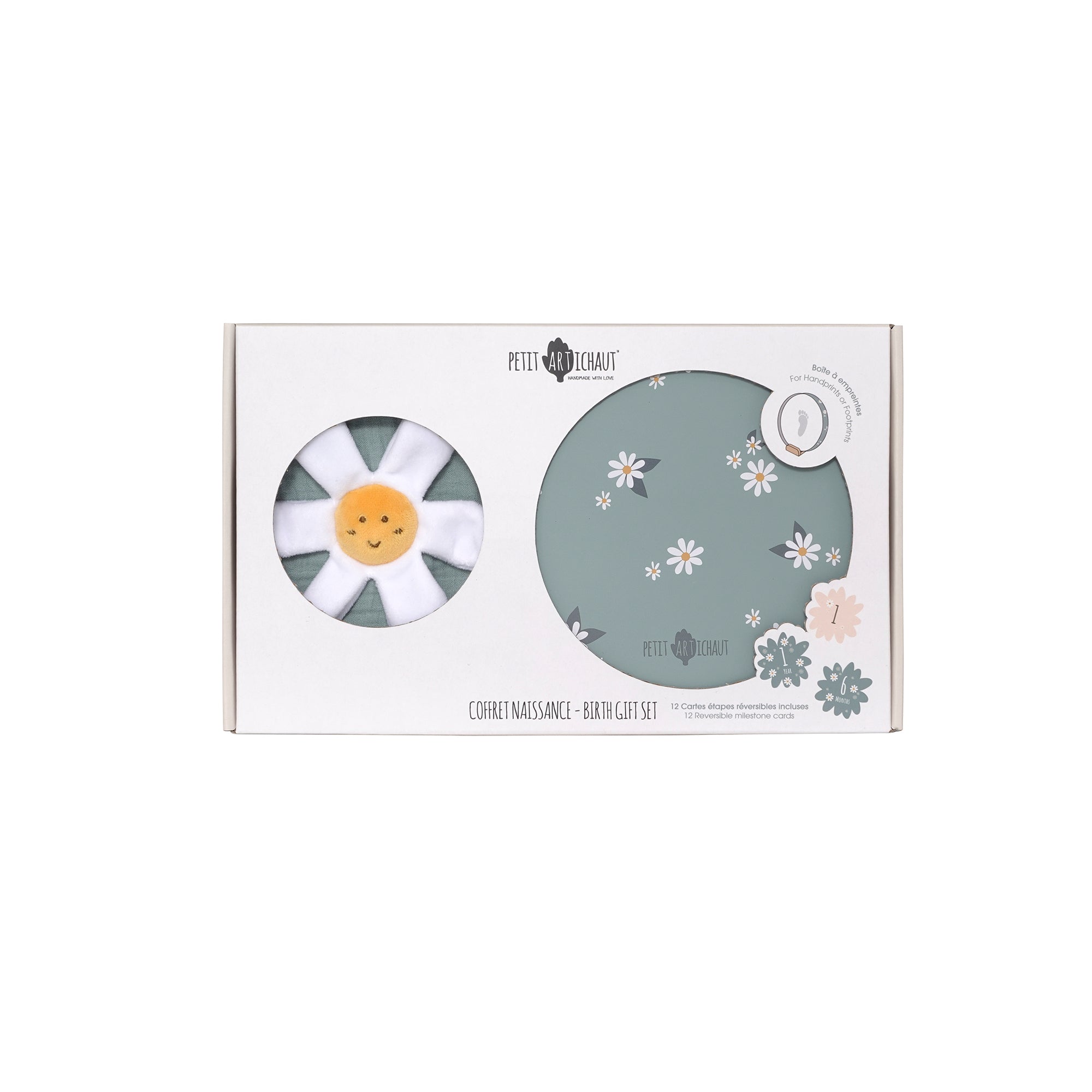 Petit Artichaut Daisy Blue coffret naissance marguerite bleu