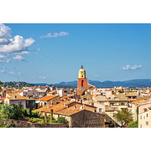 Ceanothe centre de Saint-Tropez tableau toile 45x65 cm mat