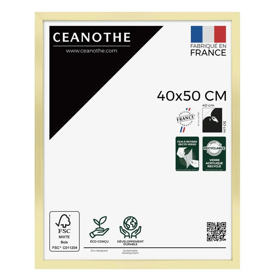 Ceanothe Precious cadre photo 40x50 cm doré incassable
