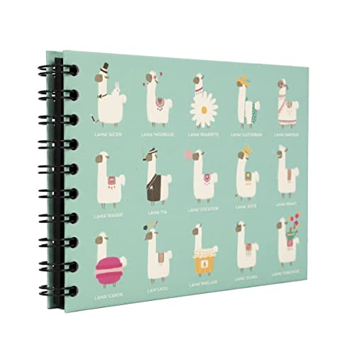 Ceanothe Panodia Artist mini album photo lama 30 pages