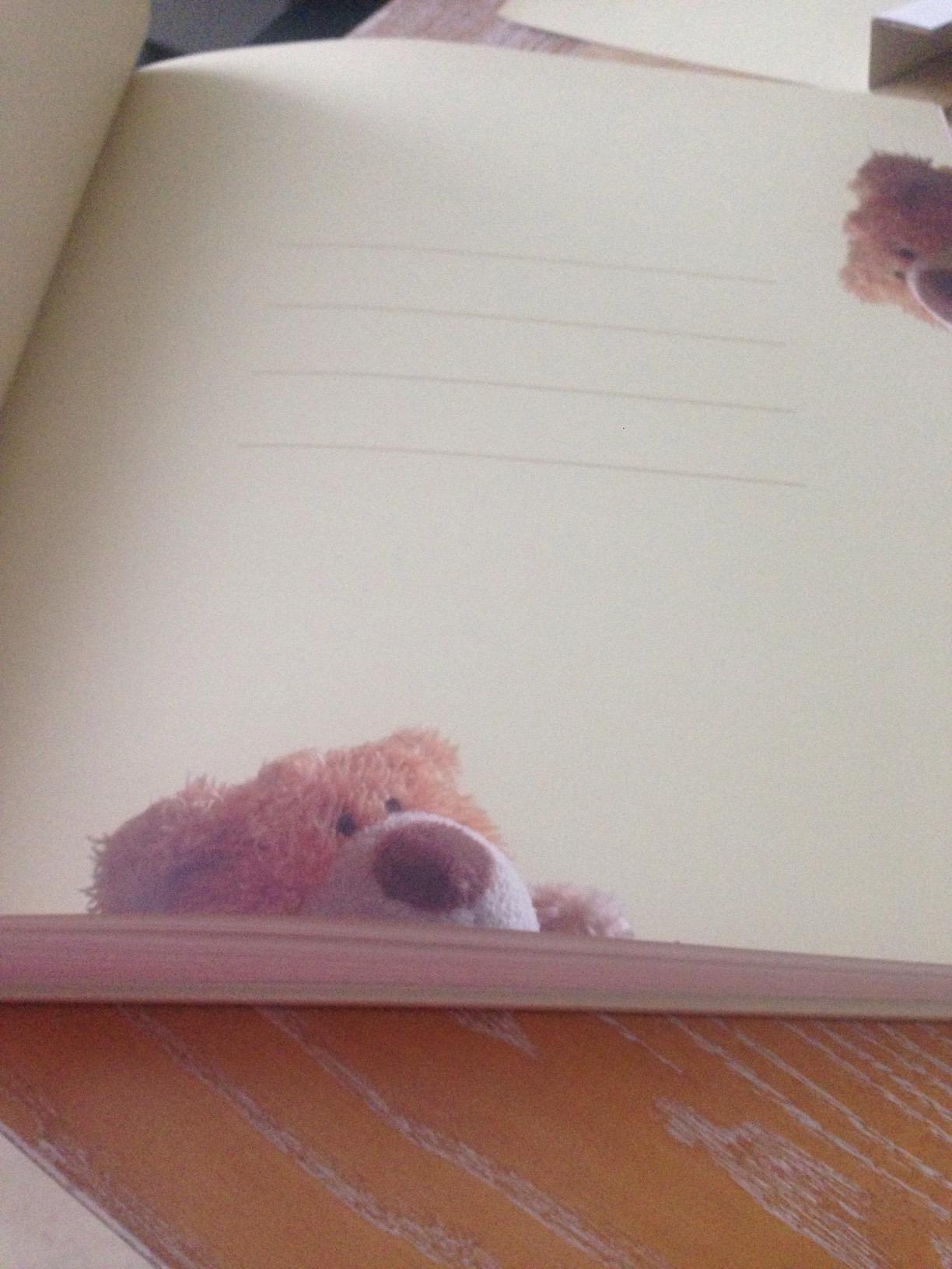 walther design Classic Bear UK-273 album bébé crème