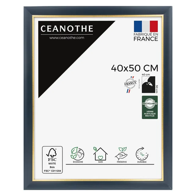 Ceanothe Hades cadre photo bleu dore 40x50 cm A3