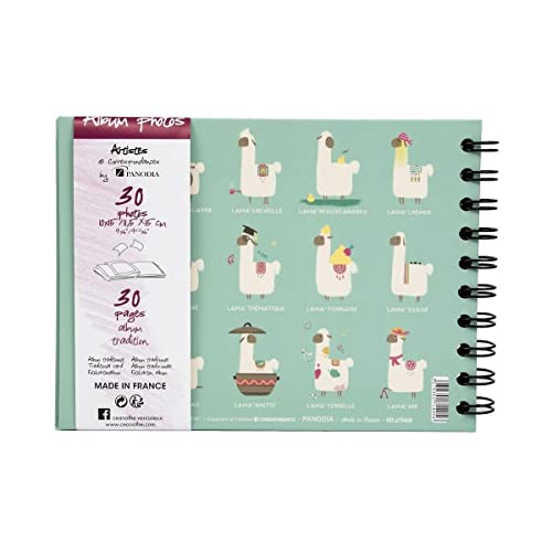 Ceanothe Panodia Artist mini album photo lama 30 pages