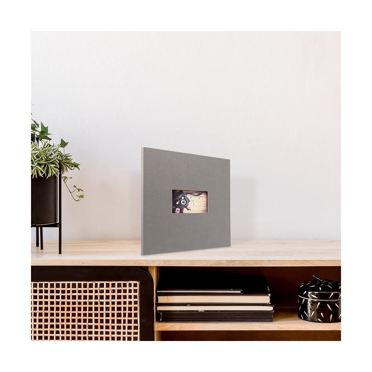 Ceanothe Panodia Studio album photo gris 300 vues 10x15