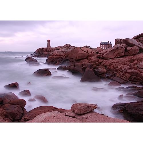 Ceanothe Brume Île Bretonne tableau toile 45x65 cm mat