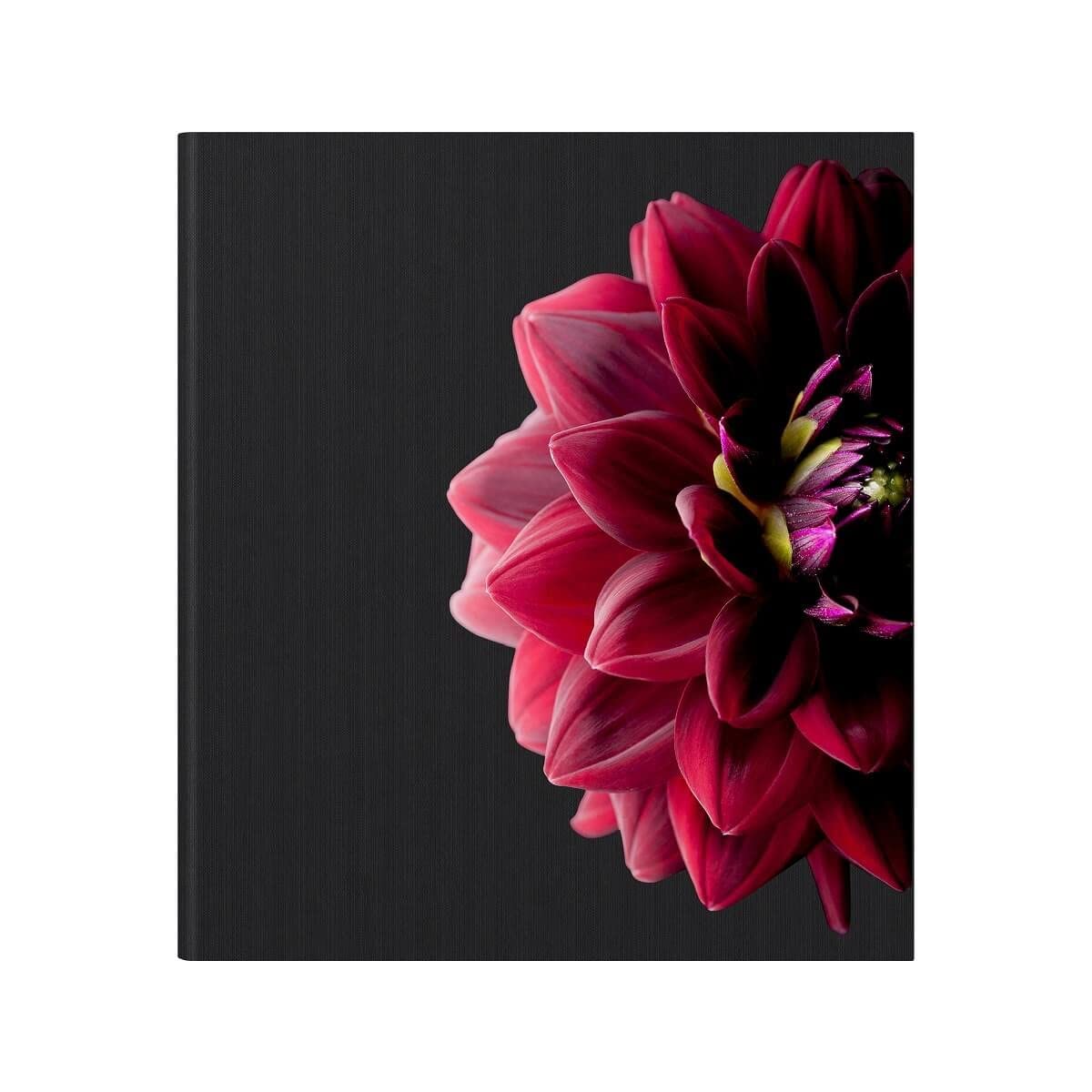 Ceanothe Dahlia album photo 200 photos floral