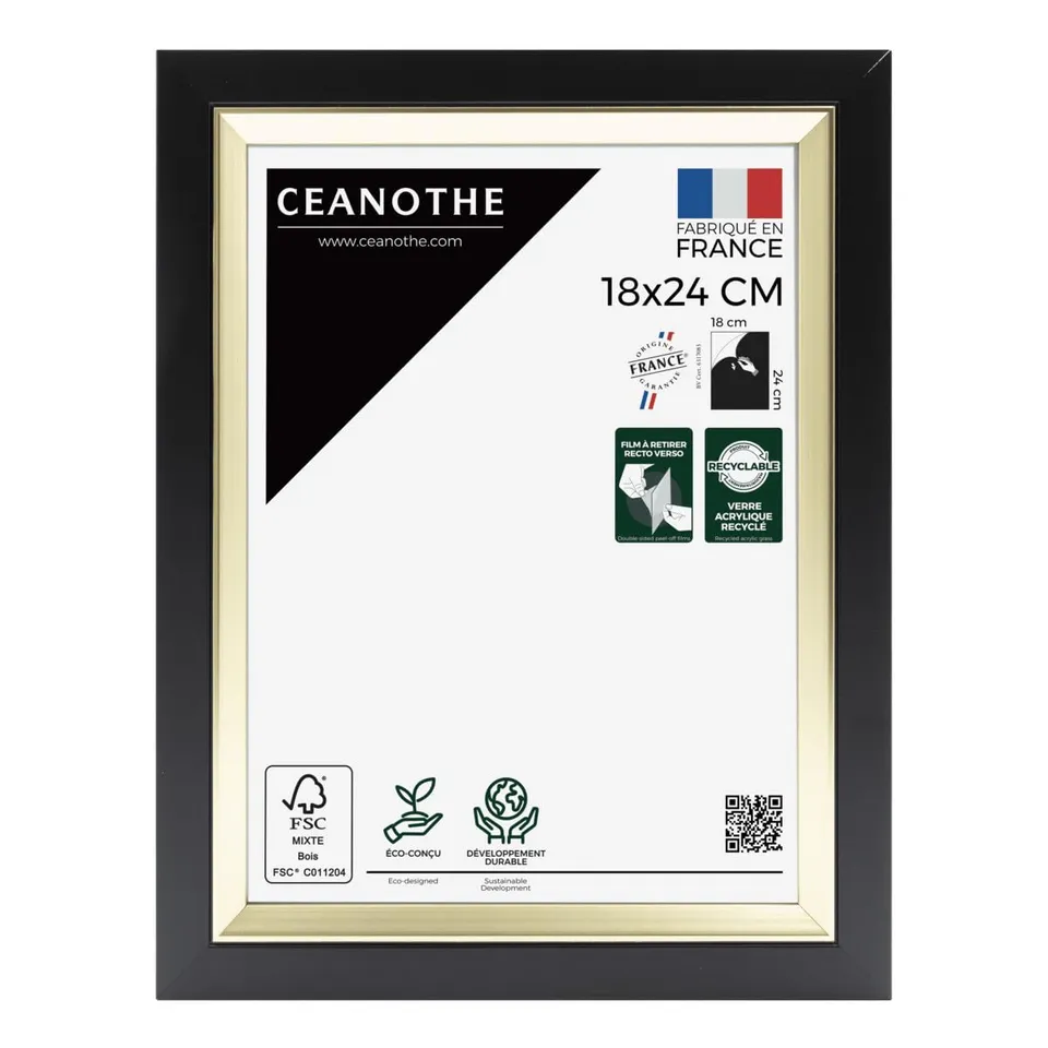 Ceanothe Actual 18x24 cm cadre photo noir et doré A5