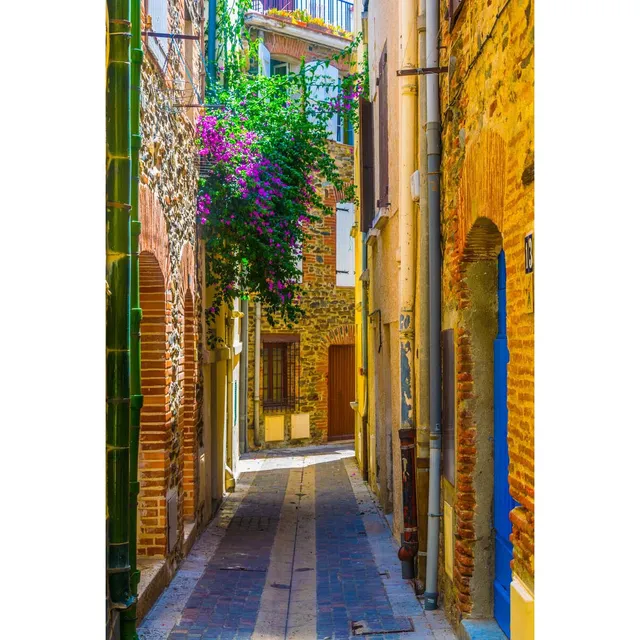 Ceanothe Art de nos régions Ruelle de Collioure tableau toile 30x45 cm France