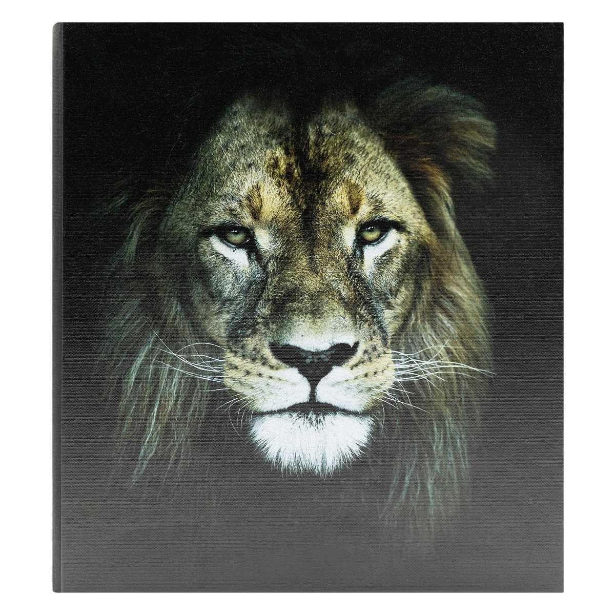 Ceanothe King album pochette lion 200 photos 10x15
