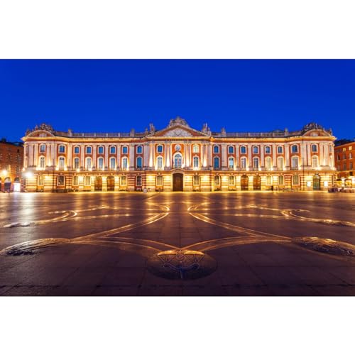 Ceanothe toile capitole Toulouse nuit 30x45 cm art régions