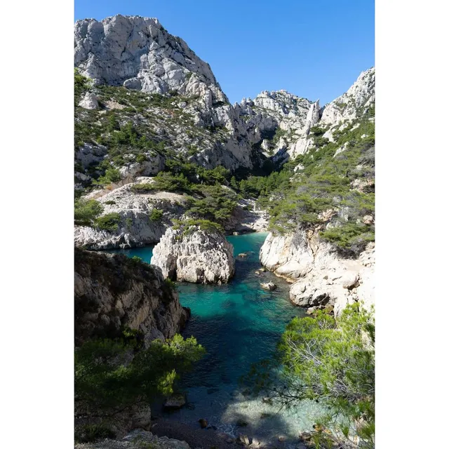 Ceanothe Sugiton tableau sur toile Marseille 30x45 cm calanque