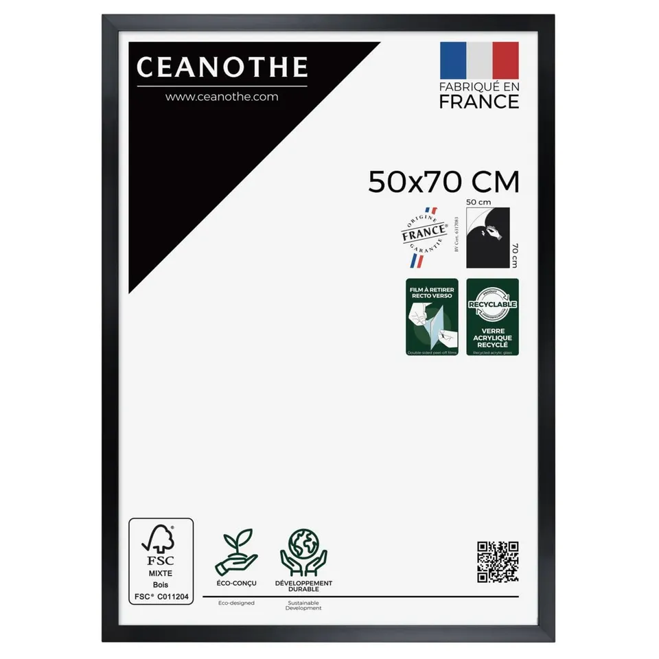 Ceanothe Precious cadre photo 50x70 cm gris laqué