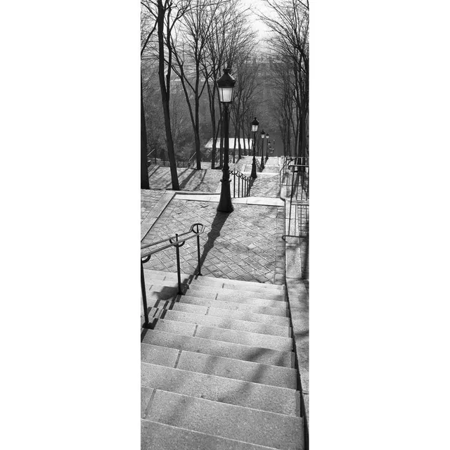 Ceanothe Allure escaliers Montmartre radiateur 45x120 cm 600W