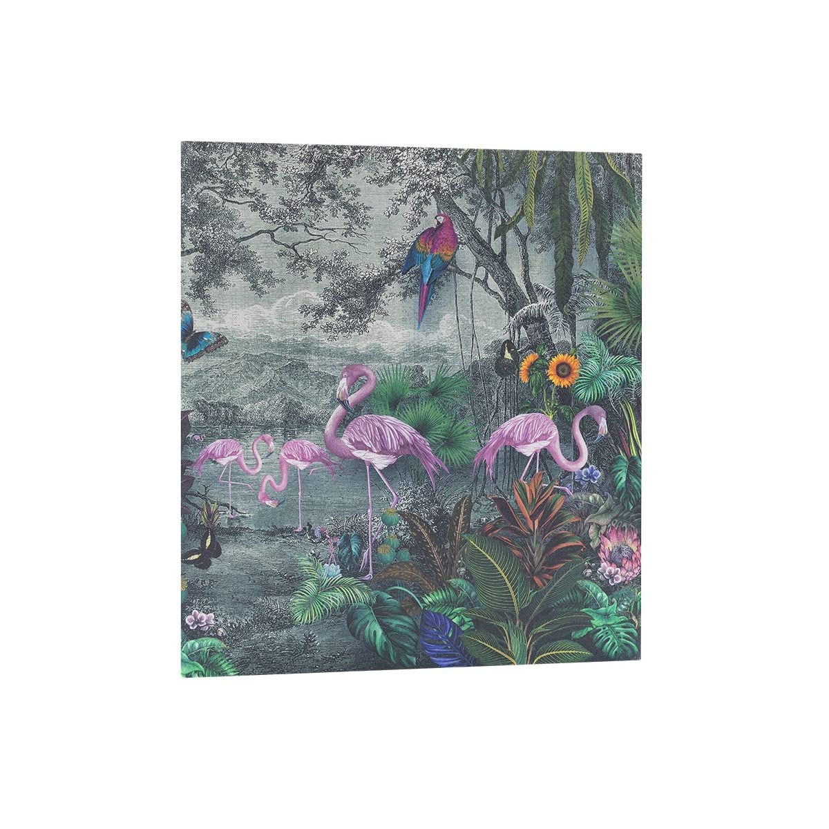 Ceanothe Panodia Flamant album photo traditionnel 600 photos 10x15