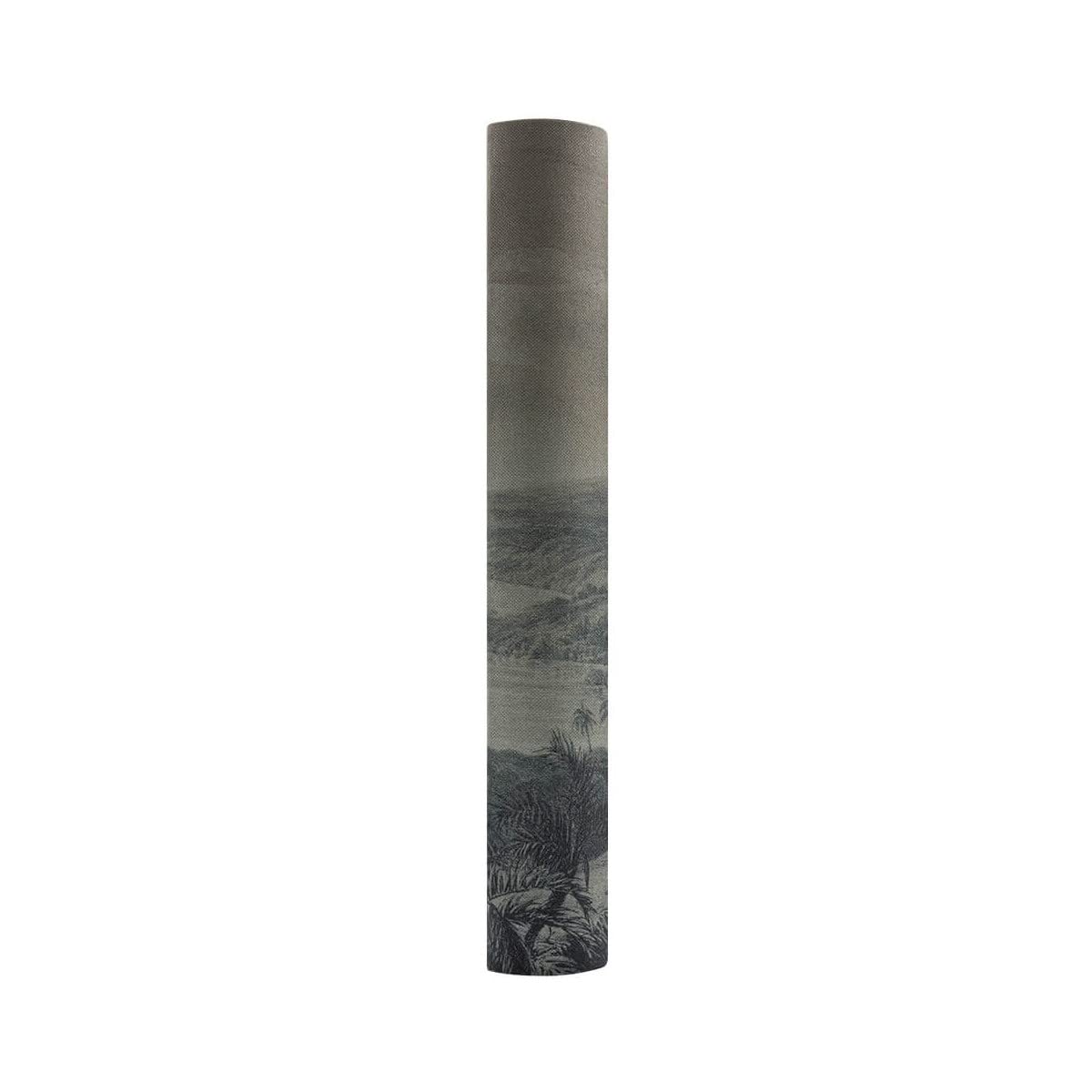 Ceanothe album photo palmier 600 vues 10x15 coton