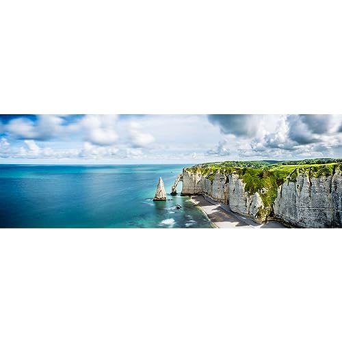 Ceanothe Etretat tableau toile 30x97 cm mat