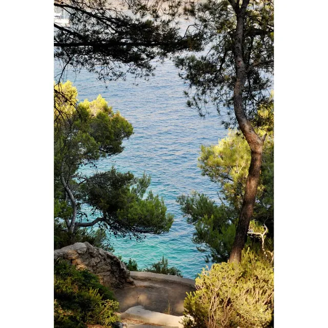 Ceanothe Chemin vers les calanques tableau toile 30x45 cm mat