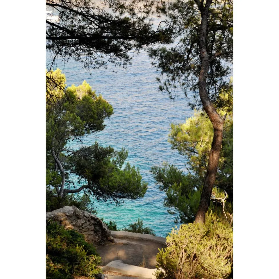 Ceanothe Chemin vers les calanques tableau toile 30x45 cm mat