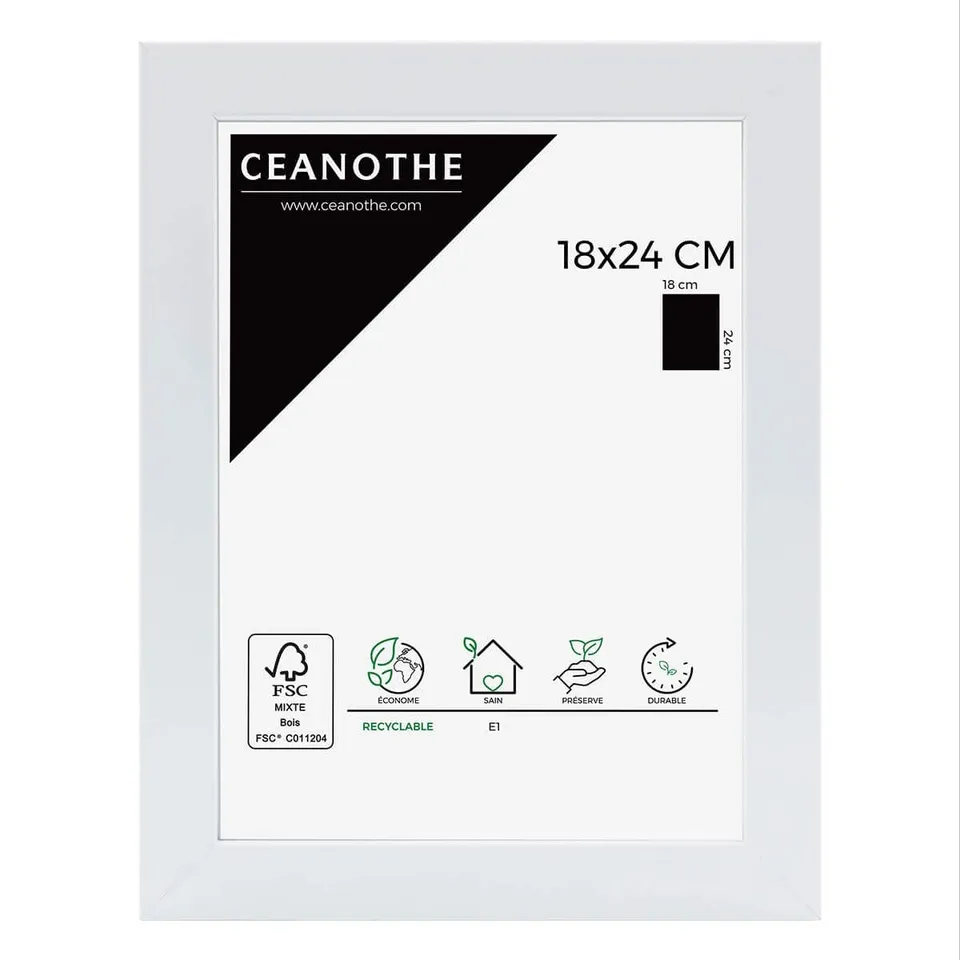 Ceanothe Brio 104333 cadre photo blanc 18x24 cm mat