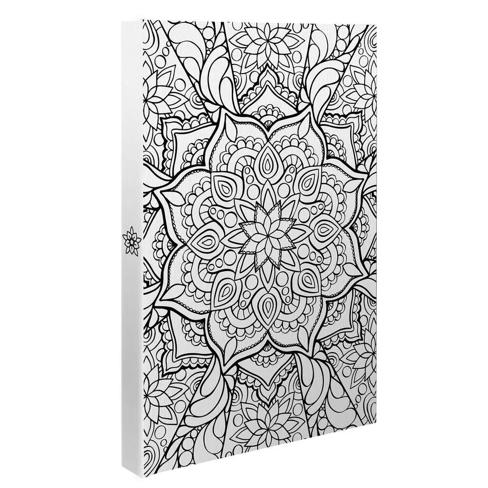 Ceanothe Mandala carnet photo A5 200 pages à colorier