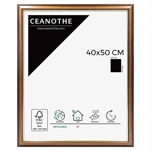 Ceanothe Vénézia Imagine cadre photo bois 40x50 cm