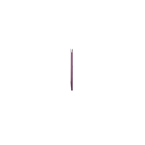 Ceanothe Panodia Foxy 271052 album naissance violet A4