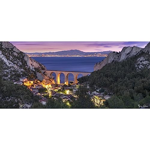 Ceanothe calanque Vesse nuit tableau verre synthétique 65x145 cm