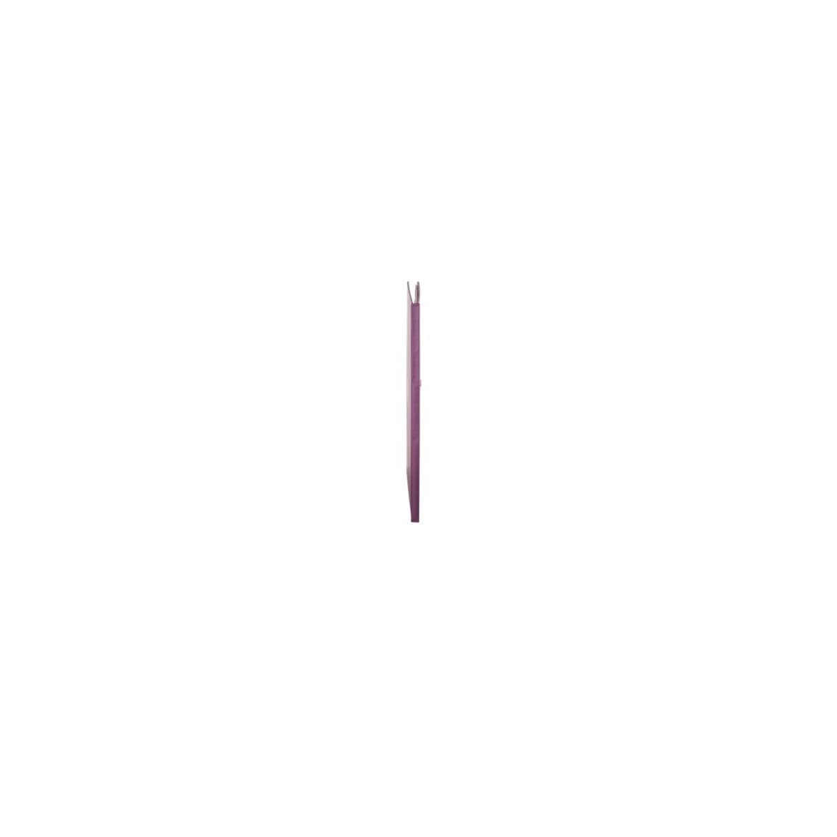 Ceanothe Panodia Foxy 271052 album naissance violet A4