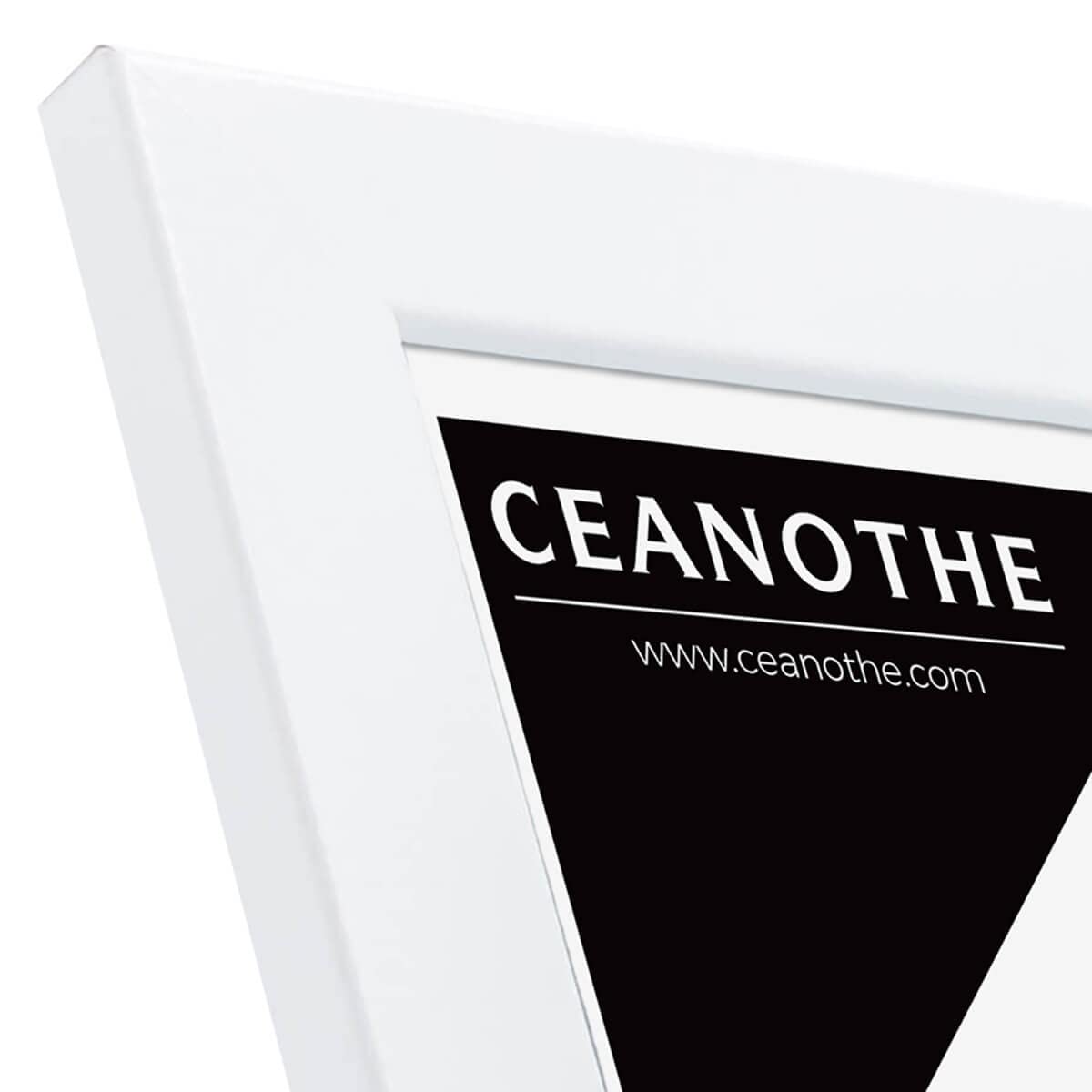Ceanothe Brio 104333 cadre photo blanc 18x24 cm mat