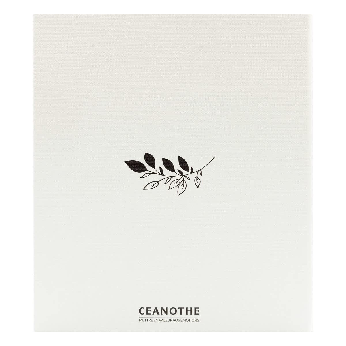Ceanothe Mirage album photo pochettes 200 photos 11,5x15 ivoire