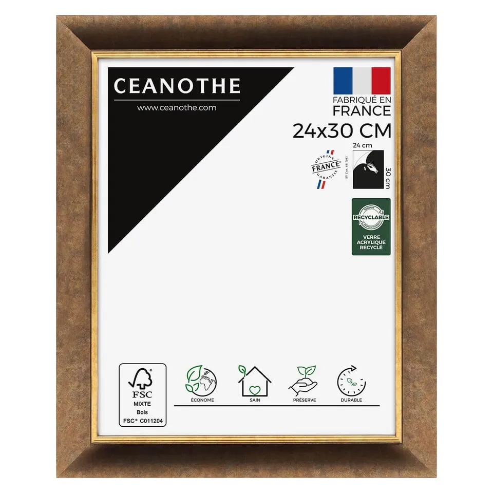 Ceanothe Brio cadre photo 24x30 cm filet or