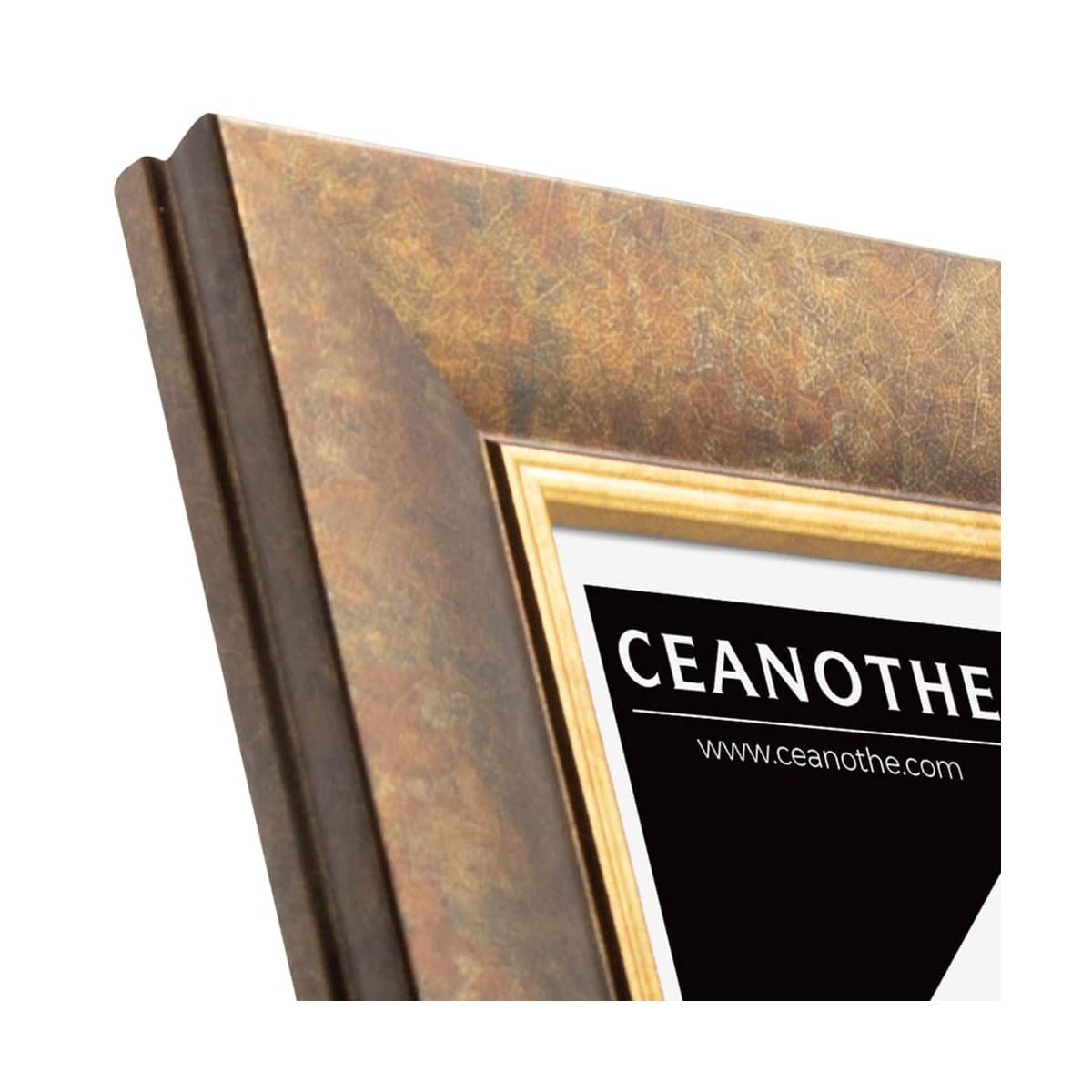 Ceanothe Brio Hades cadre photo 20x30 filet or bois