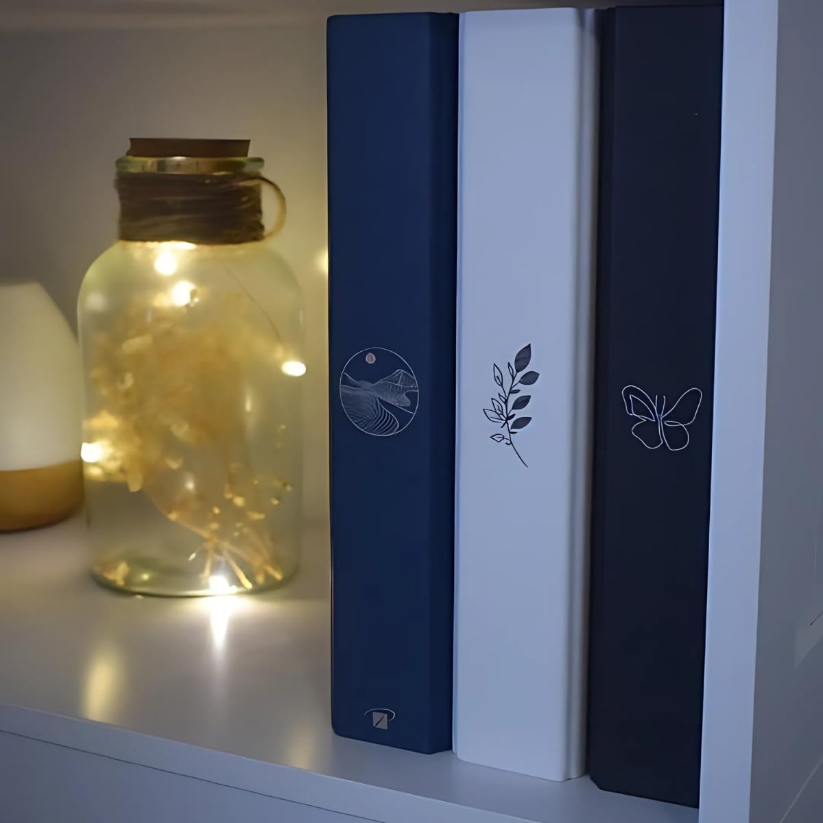 Ceanothe Nuit Orientale album photo pochettes bleu 200 photos