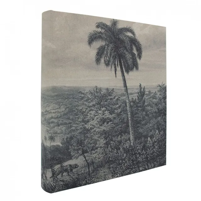 Ceanothe album photo palmier 600 vues 10x15 coton