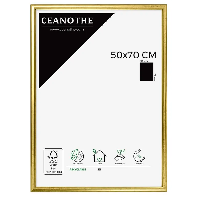 Ceanothe Circée cadre photo doré 50x70 cm