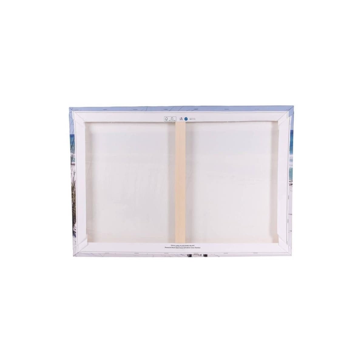 Ceanothe voilier Marseille tableau toile 45x65 cm HD
