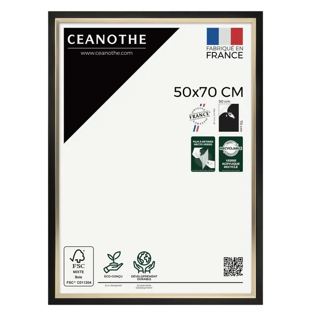 Ceanothe Actual 50x70 cm cadre photo noir et doré incassable