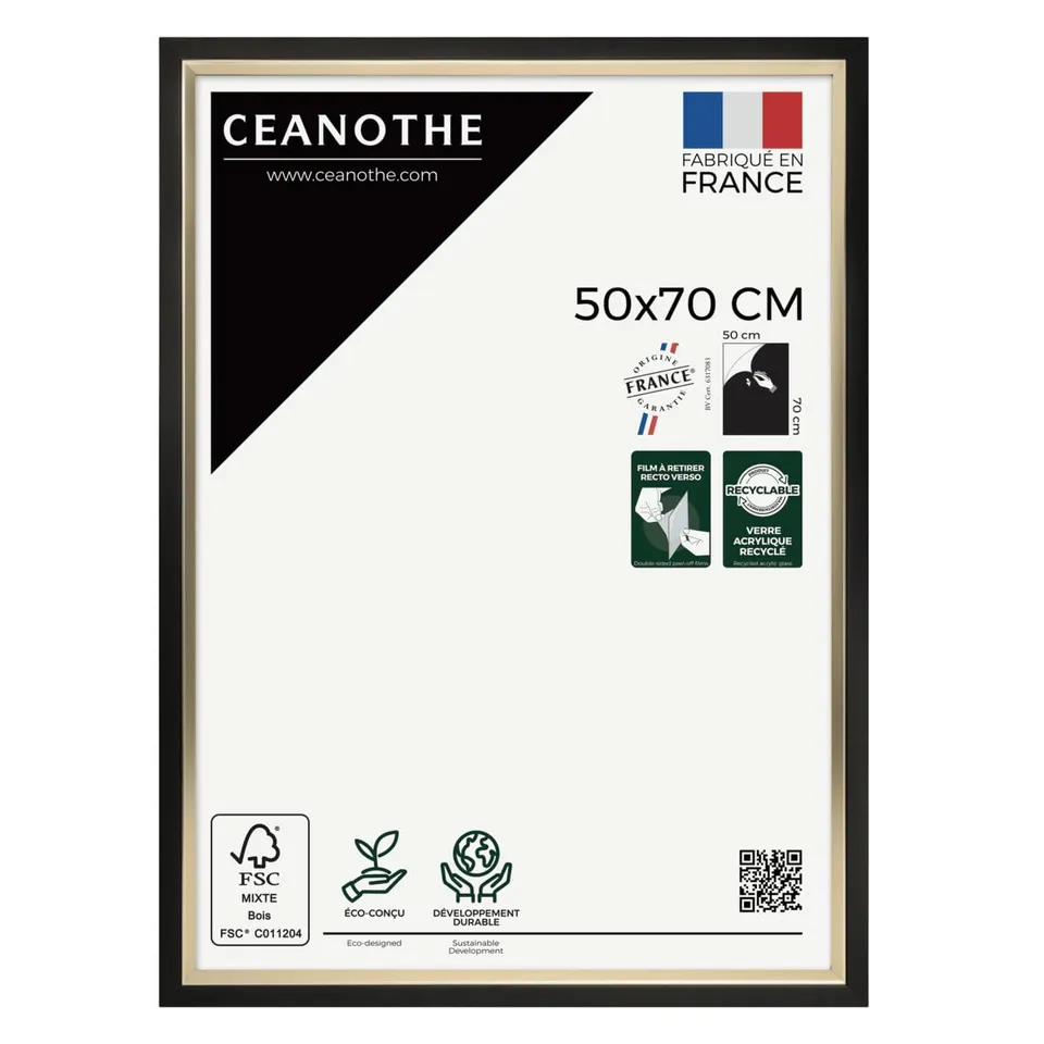 Ceanothe Actual 50x70 cm cadre photo noir et doré incassable