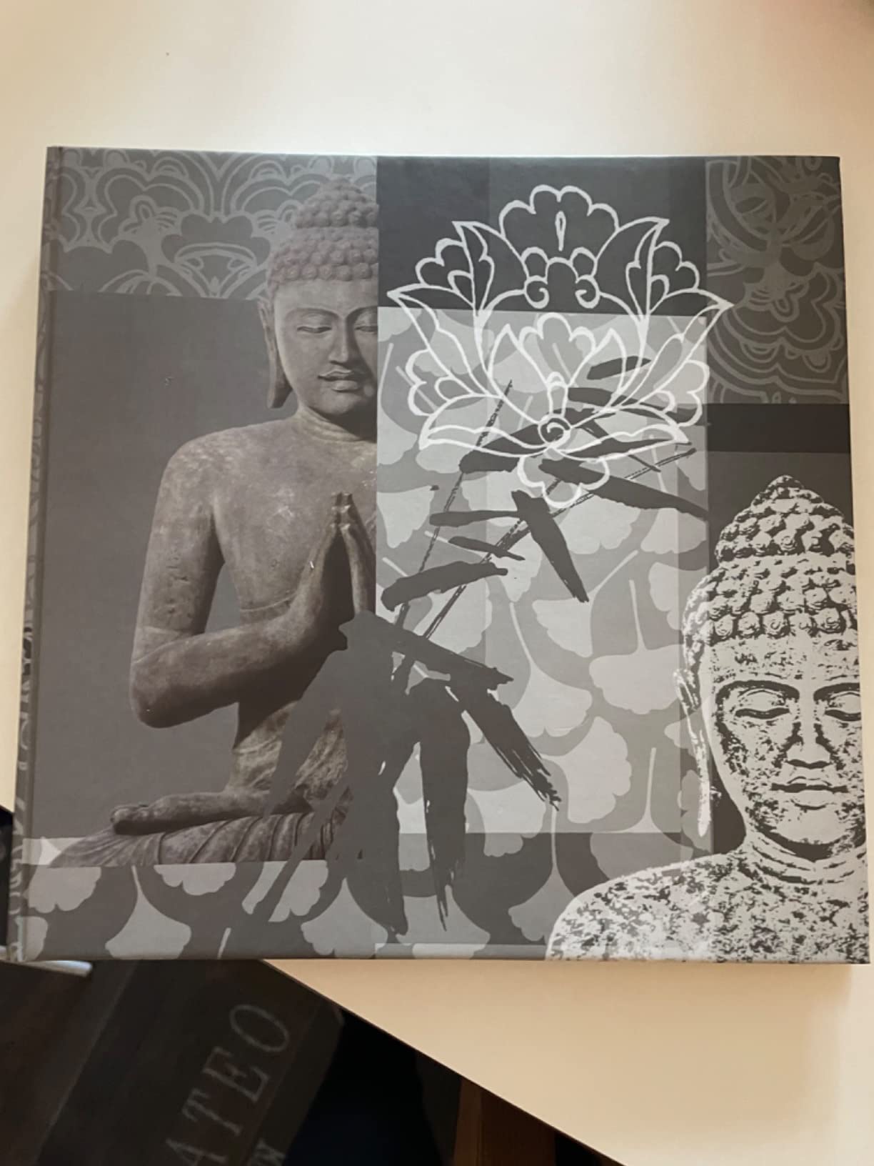 walther design Buddha FA-192-D album photo gris 26x25