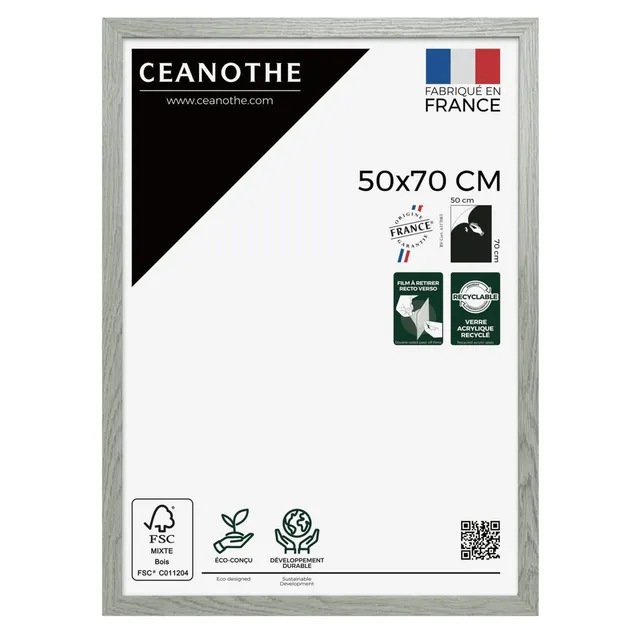 Ceanothe Australe cadre photo 50x70 cm bois grisé affiche